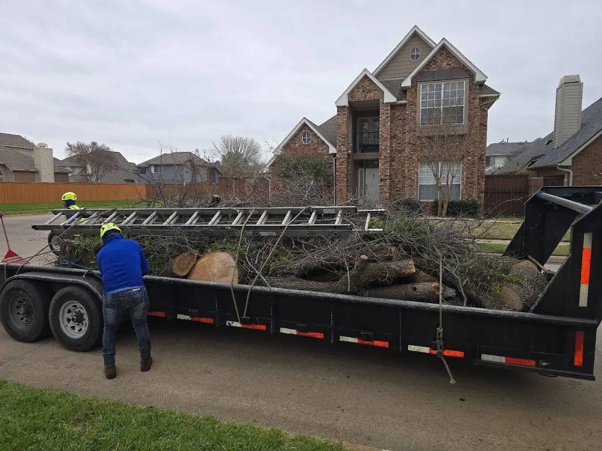 Expert Tree Pest Control with proper safety equipment in Rocky Mount